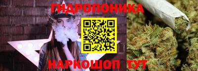 синтетический гашиш Лесосибирск