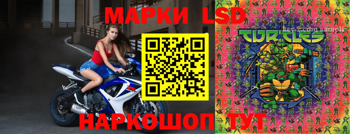 Марки N-bome  Камышин  Наркотические марки 1,5мг  Наркотические марки 1,5мг 