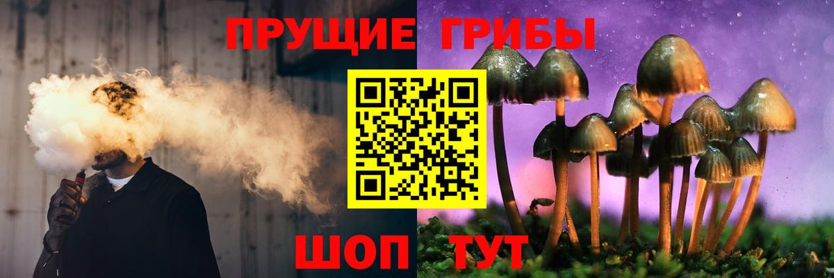 Псилоцибиновые грибы MAGIC MUSHROOMS  Вход с VPN  Галлюциногенные грибы GOLDEN TEACHER  Камышин 